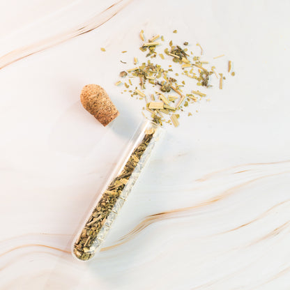 Glasfilter für losen Tee | Teesieb aus Glas