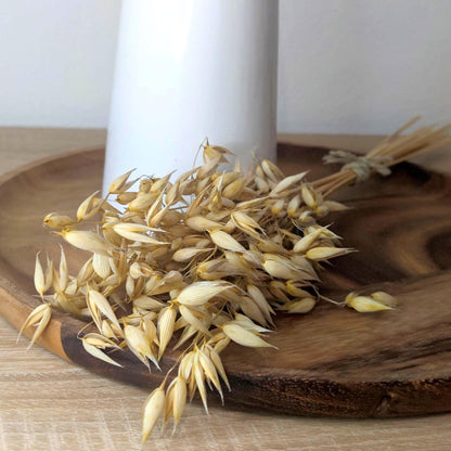 Haferbund unbehandelt | Trockenblumen