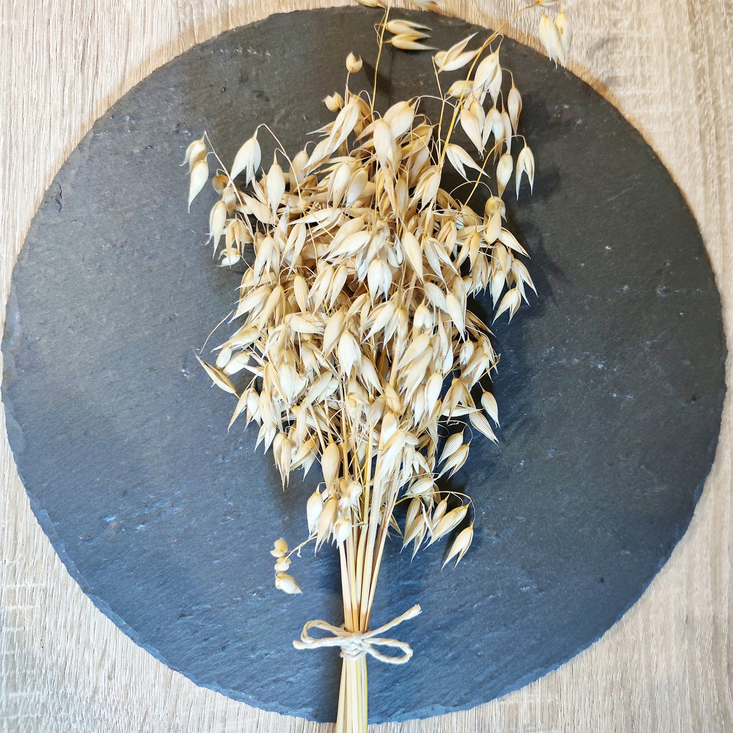 Haferbund unbehandelt | Trockenblumen