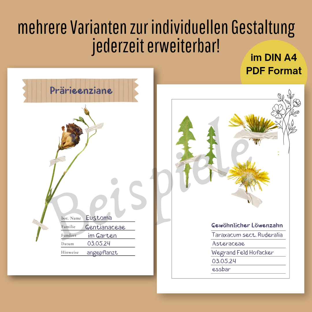 Herbarium Druckvorlage im Junk Journal Stil  | DIY Sammelbuch