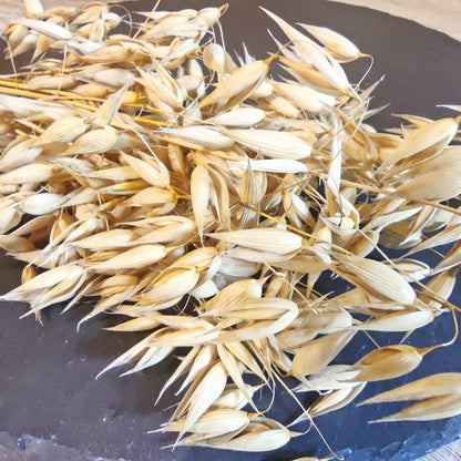 Haferbund unbehandelt | Trockenblumen